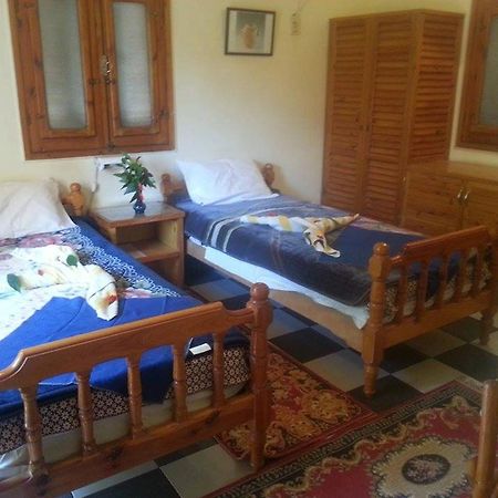Amon Hotel Λούξορ Εξωτερικό φωτογραφία
