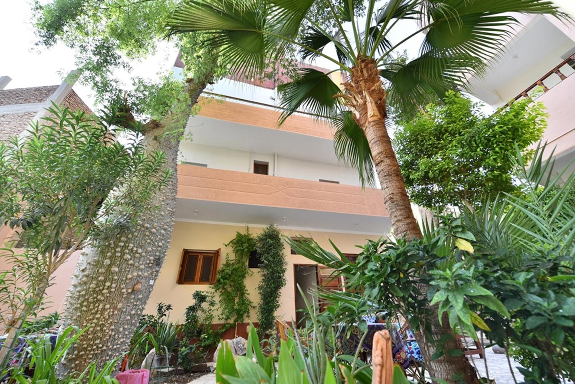 Amon Hotel Λούξορ Εξωτερικό φωτογραφία