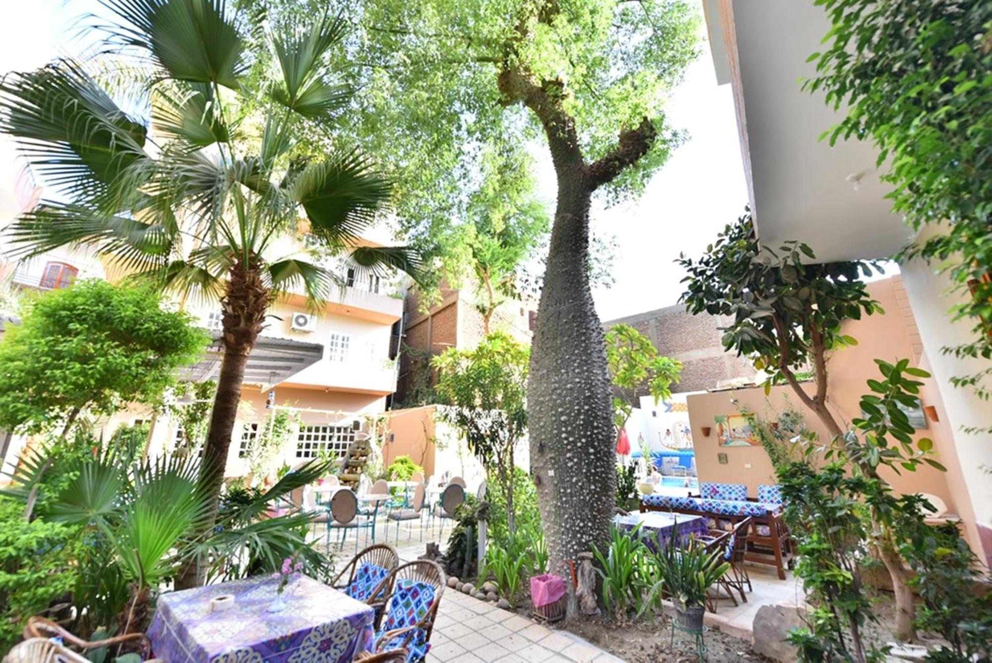 Amon Hotel Λούξορ Εξωτερικό φωτογραφία