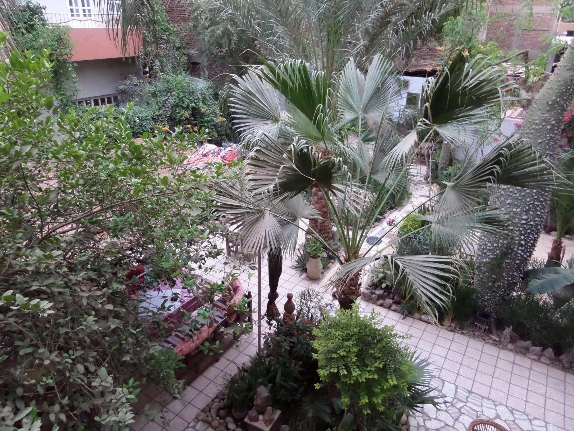 Amon Hotel Λούξορ Εξωτερικό φωτογραφία