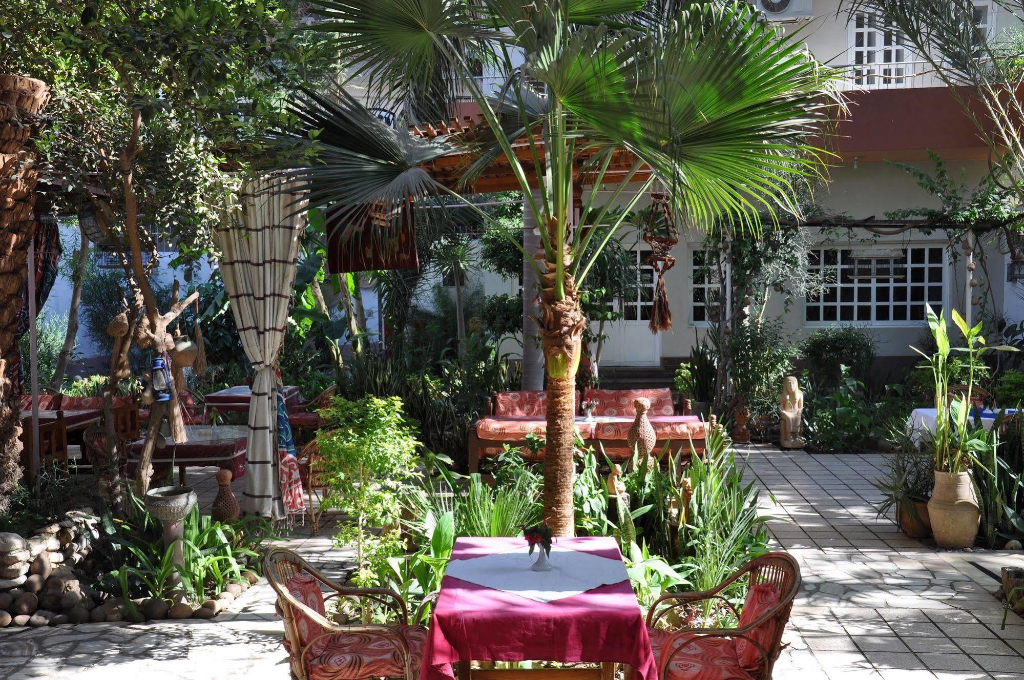 Amon Hotel Λούξορ Εξωτερικό φωτογραφία