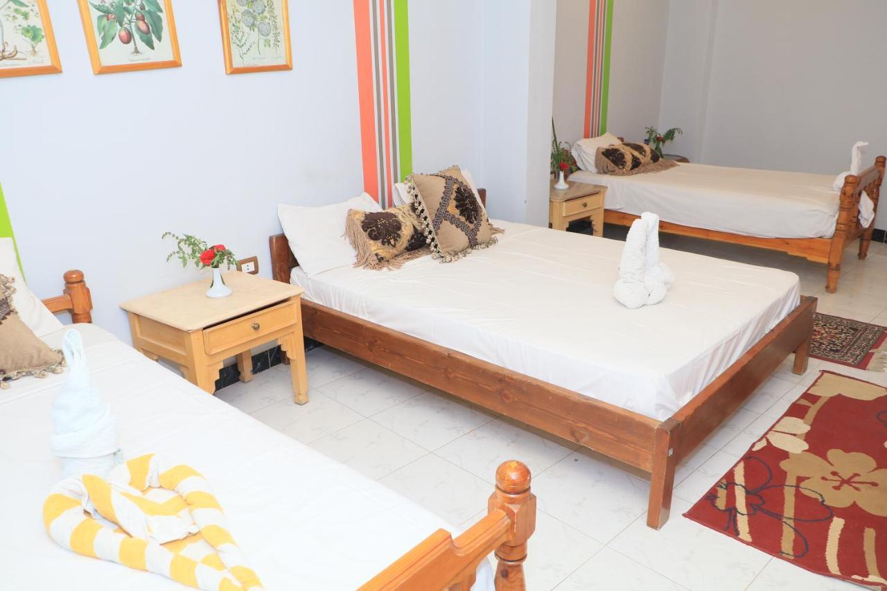 Amon Hotel Λούξορ Εξωτερικό φωτογραφία