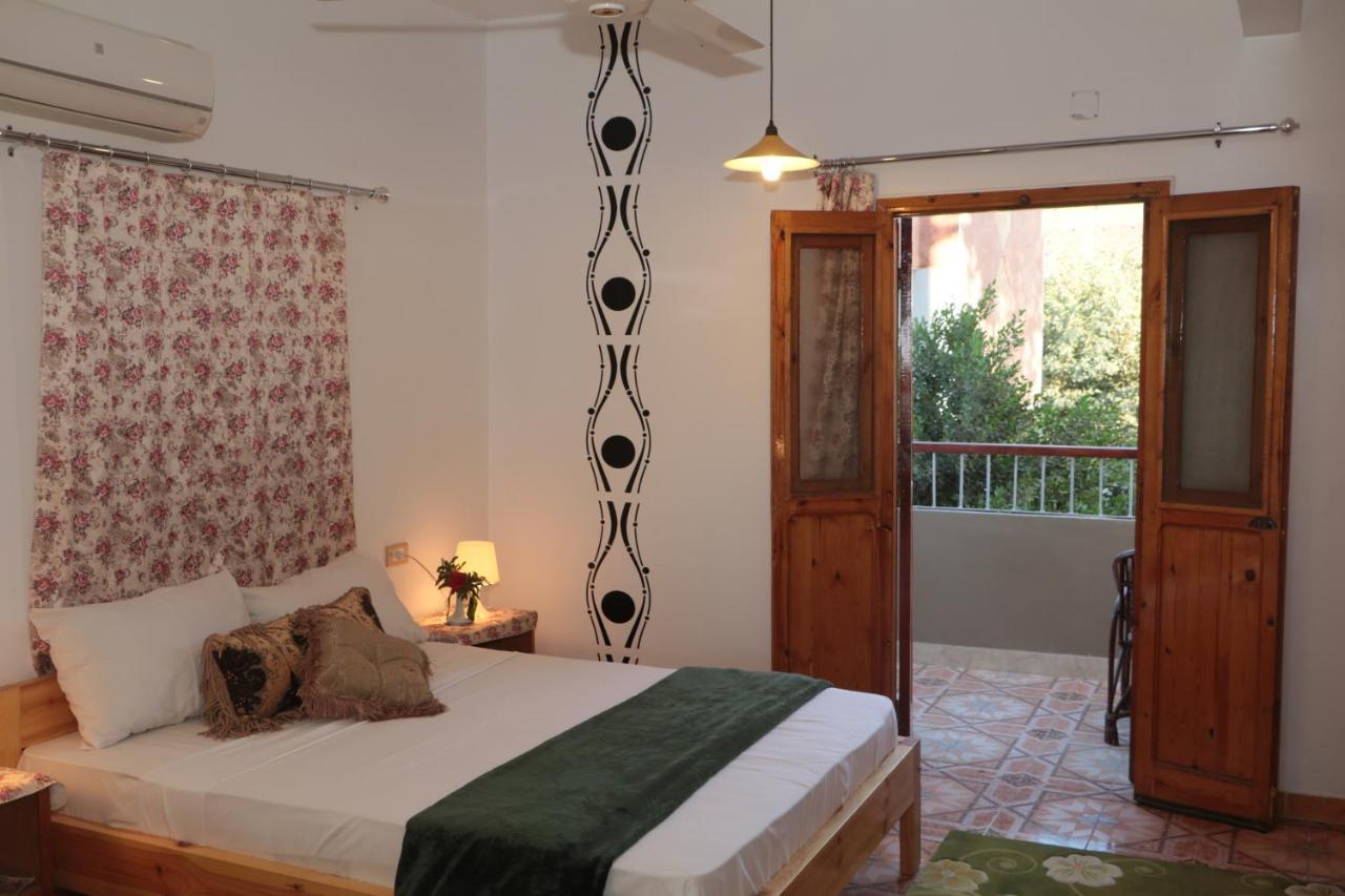 Amon Hotel Λούξορ Εξωτερικό φωτογραφία